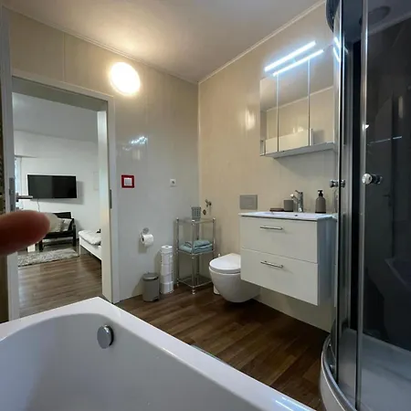 Komfortables Einraum-apartment In Weissenthurm
