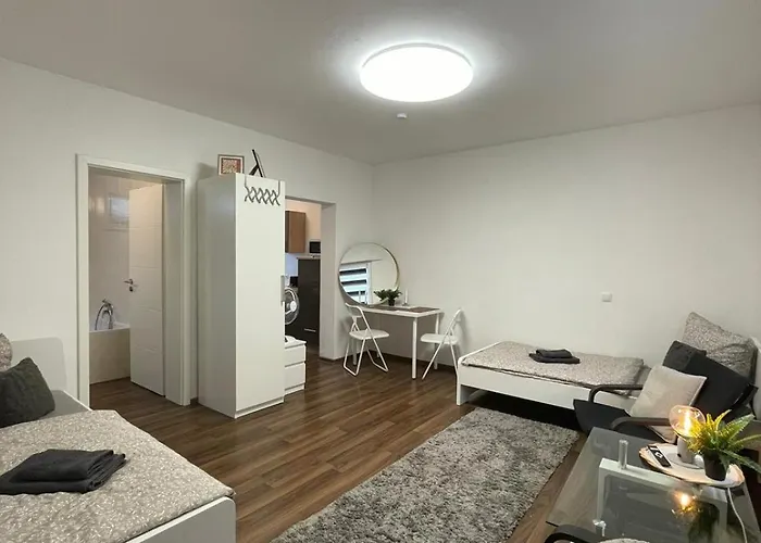 Komfortables Einraum-apartment In דירה Weissenthurm